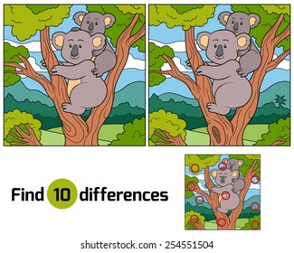 Find differences (koala)