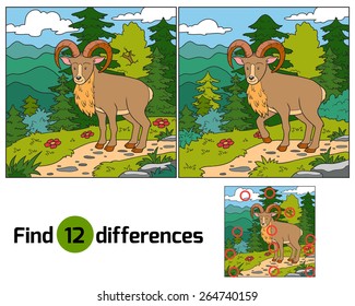 Find differences (Urial, wild sheep)