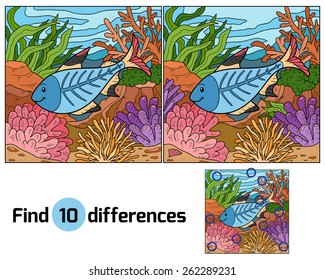 Find Differences (x-ray Fish)