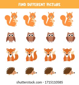 Find different picture in each row. Logical educational game for kids. Forest animals.