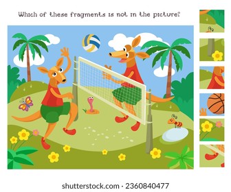 Find the hidden fragments. Educational game puzzle for kids. Cute kangaroos playing volleyball.  Sports for children. Vector cartoon illustration, scene for games.