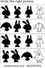 Find and match the right picture