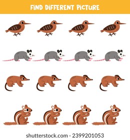 Find north American animal which is different from others. Worksheet for kids.