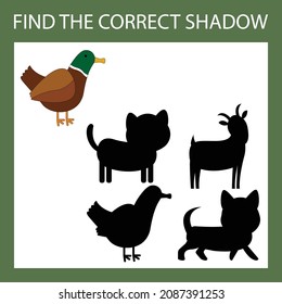 Find a pair or shadow  game with funny ducks.  Worksheet for preschool kids, kids activity sheet, printable worksheet 
