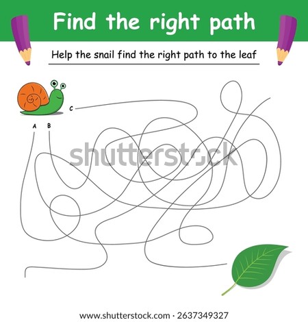 Find the right path. preschool learning picture design. educational labyrinth for children. maze game. way search puzzle. vector illustration
