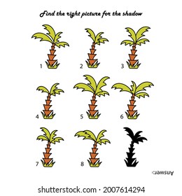 Find the right picture for the shadow. Cute palm trees, tropical plants. Vector illustration,