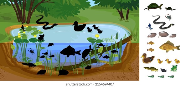 Find the right shade. Ecosystem of pond with different animals (birds, insects, reptiles, fishes, amphibians) in their natural habitat. Schema of pond ecosystem structure for biology lessons