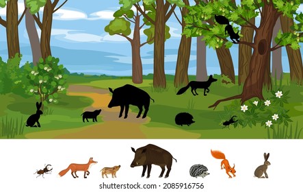 Find the right shade. Educational children matching game with animals living in grove and park. Ecosystem of forest. Diverse inhabitants of grove