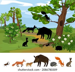 Find the right shade. Educational children matching game with animals living in grove and park. Ecosystem of forest. Diverse inhabitants of grove