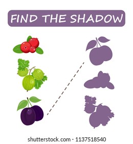 Find the right shade of fruit. Drain the gooseberries . Set to find the correct shadow matching educational game of the child to compare and connect objects and their true shadows, a simple level of