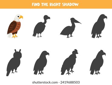 Find the right shadow of cute bald eagle bird. Educational logical game for kids. Printable worksheet for preschoolers.