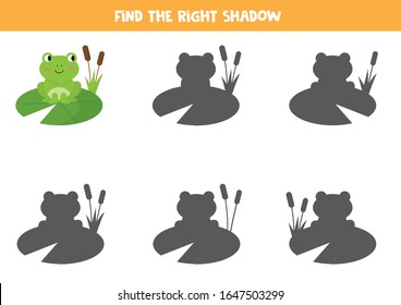 Find the right shadow of cute cartoon frog. Educational game for kids.