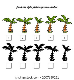 Find the right shadow is an educational game for children. Set with palm trees, tropical plants . Vector illustration.