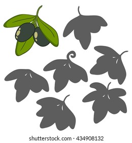 Find the right shadow image. Educational games for kids. Olives with leaves