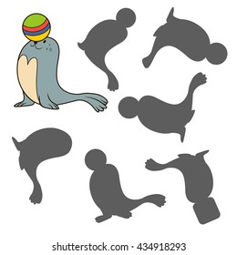 Find the right shadow image. Educational games for kids.
circus seal