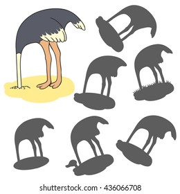 Find the right shadow image. Educational games for kids. Cartoon ostrich
