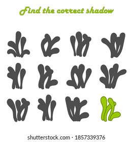 Find the right shadow-an educational game for children. Set with silhouettes of simple seaweed . Preschool Educational game. Vector illustration