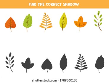 Find right shadows of colorful autumn leaves. Educational logical game for kids. Puzzle for preschoolers. 