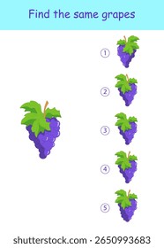 Find the same grapes. Maze game. Vector illustration on a white background for children's entertainment, activity book, worksheet.