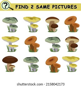 Encuentra las mismas fotos con hongos del bosque de dibujos animados. Juego lógico educativo para niños. Ilustración vectorial.