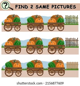 Encuentra las mismas fotos con calabazas de dibujos animados en carretas de jardín. Juego lógico educativo para niños. Ilustración vectorial.