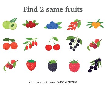 Find the same pictures. Children educational game with different berries. berries set vector illustration.