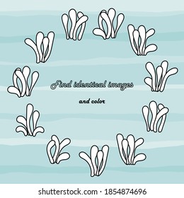 Find the same pictures-educational game for children. Set with silhouettes of simple algae . Preschool educational game