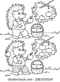 Find seven differences. Hedgehog with apples. Coloring page outline of the cartoon game. Colorful vector illustration of educational game for preschool children, summer coloring book for kids. 