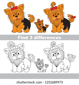 Find the several differences between pictures, the simple educational kid game for preschool kids. Pet yorkshire terrier