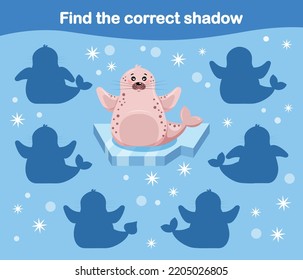 find shadow of a fur seal, seal. Children's game learning arctic animals series