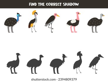 Find shadows of cute cartoon birds. Educational logical game for kids. Printable worksheet for preschoolers.