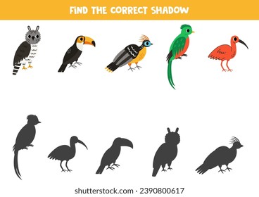 Find shadows of cute South American birds. Educational logical game for kids. Printable worksheet for preschoolers.