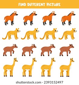 Find South American animal which is different from others. Worksheet for kids.