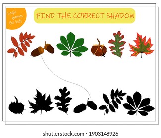 find a suitable shade for the leaves of the trees. maple, rowan, oak, chestnut, acorn. Vector illustration isolated on white background