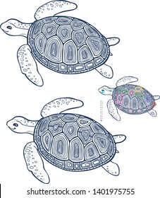 Find ten differences - coloring page for children  - turtle