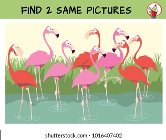 Find two the identical flamingos in the flock. Find two same pictures. Educational matching game for children. Cartoon vector illustration