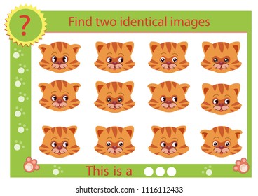 Find two identical images with cat. Seek similar animals character. Worksheet with children funny riddle. Kids spelling game and activity page. Vector illustration.