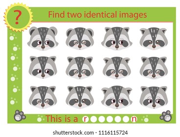 Find two identical images with raccoon. Seek similar animals character. Worksheet with children funny riddle. Kids spelling game and activity page. Vector illustration.