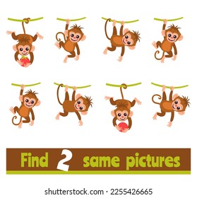 Find two identical pictures. Educational game for children. Same monkeys searching. Worksheet design. Similar animals. Preschool kids puzzle. Riddle with funny marmosets