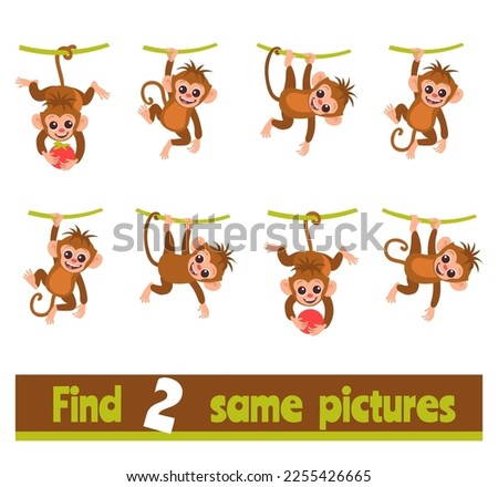 Find two identical pictures. Educational game for children. Same monkeys searching. Worksheet design. Similar animals. Preschool kids puzzle. Riddle with funny marmosets