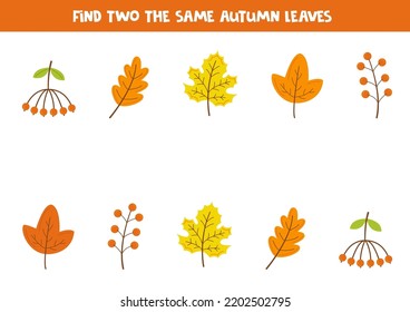 Encuentra dos hojas del mismo otoño. Juego educativo lógico para niños.