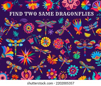 Find two same bright dragonflies, kids game vector worksheet with Mexican flowers. Children puzzle riddle or tabletop game to find similar items of Mexican dragonfly insect on flower and cactus