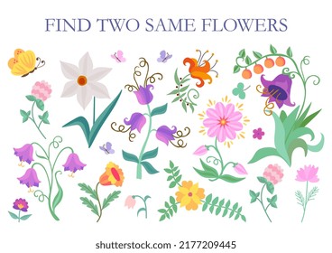 Find two same flowers. Cartoon vector illustration for children education.