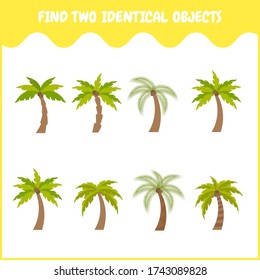 Find two the same palm tree in the picture. Set of tropical palm trees with coconuts. Educational matching game for children. Cartoon flat vector illustration.