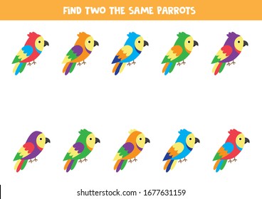 Find two the same parrots. educational logical game for kids.