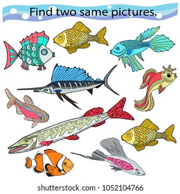 Find two same pictures, education game for children. Color vector illustration. Sea creatures. A set of fish. 