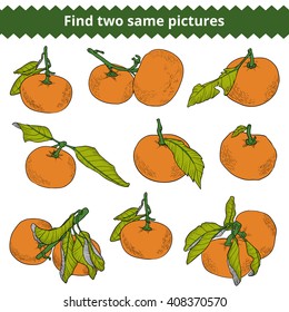 Find two same pictures, education game for children. Vector color set of mandarines