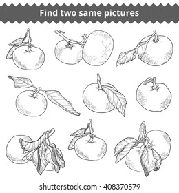 Find two same pictures, education game for children. Vector black and white set of mandarines