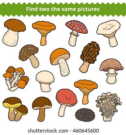 Find two the same pictures, education game for children. Vector color set of mushrooms