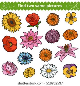 Find two the same pictures, education game for children. Color set of flowers